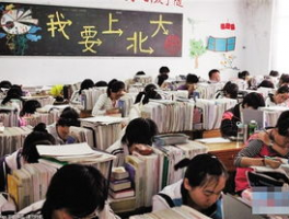 河南阳光高考: Ensuring Transparency and Fairness in College Admissions