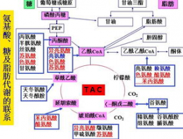 高中化学学科网: 展开高中化学学习的广阔平台
