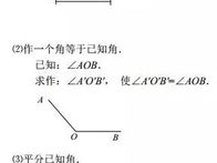 初中数学: 基本概念与学习技巧