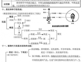 初中生物知识点大全: 中考必备