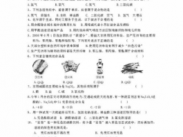 初三化学中考模拟试卷: 提高你的化学成绩