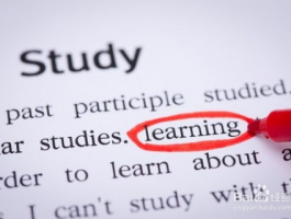 高中英语: 高效学好英语的方法与技巧