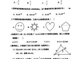 九年级数学中考模拟试卷：准备与复习技巧