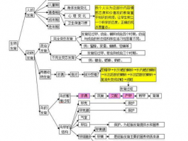 初中数学思维导图：助学课程中的逻辑与结构