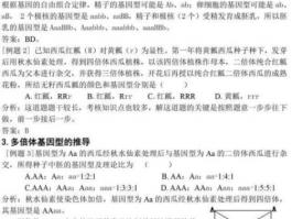 高中生物遗传解题技巧：高效提高解题能力的实用指南